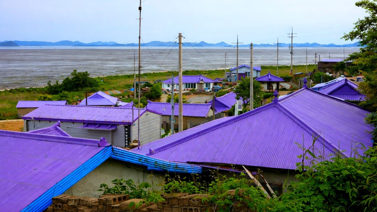 신안 퍼플섬. 기사 내용 토대로 AI툴 활용해 제작한 자료사진.
