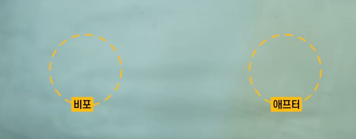 세탁 장인의 비법으로 누레진 베개 깔끔하게 만들기, '비포&애프터' 비교 사진. / 유튜브 '지식인사이드'