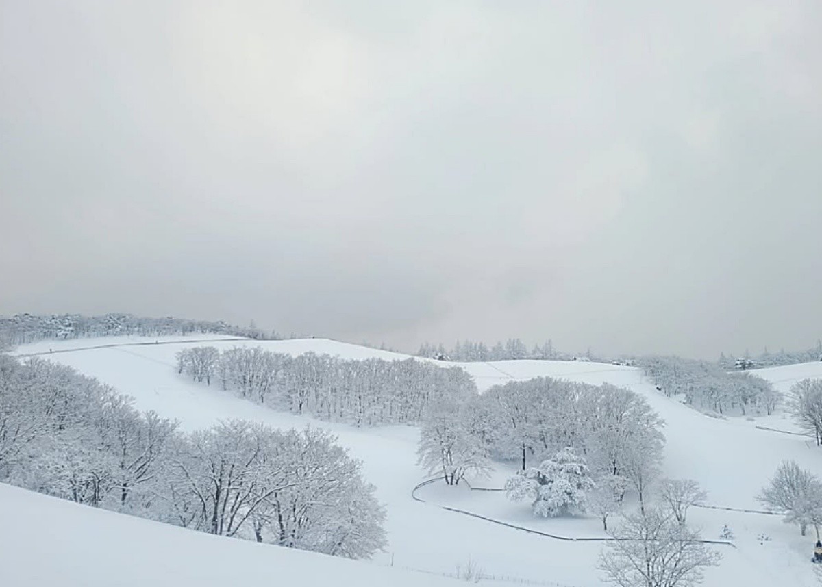 목장의 겨울 풍경 / 대관령양떼목장 인스타그램