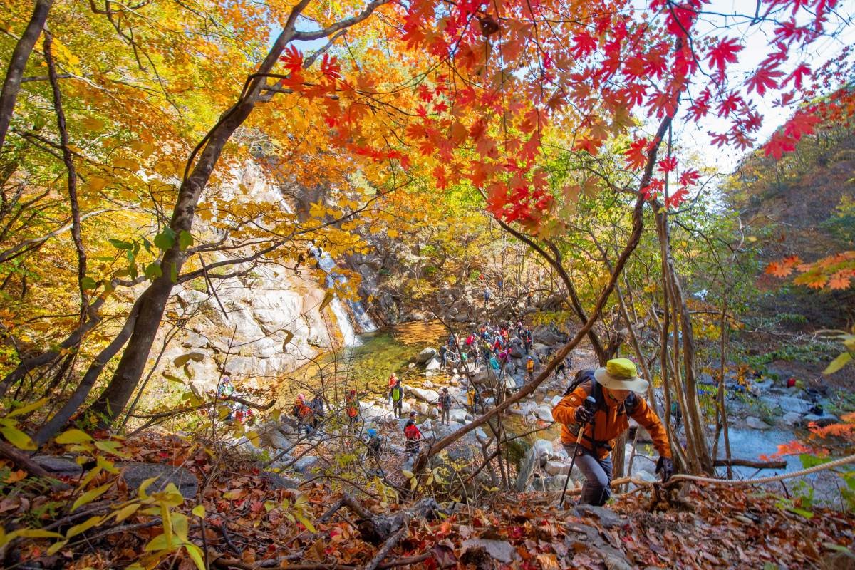 강원도 고성군에서 열린 설악산 울산바위(말굽폭포) 탐방행사에서 주민과 관광객들이 미시령터널 휴게소~말굽폭포 구간을 지나고 있다. 기사의 이해를 돕기 위한 사진. / 고성군 제공, 뉴스1
