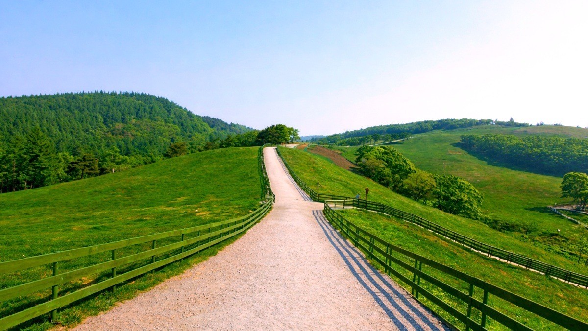 서산 한우목장. 기사 내용 토대로 AI툴 활용해 제작한 자료사진.