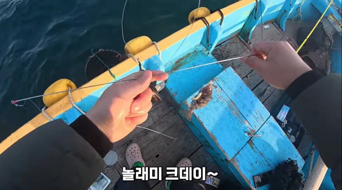 잡힌 놀래미. / 유튜브 '삐꾸TV pikku_tv'