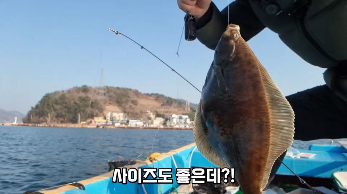잡힌 도다리. 딱 봐도 사이즈가 커 보인다. / 유튜브 '삐꾸TV pikku_tv'