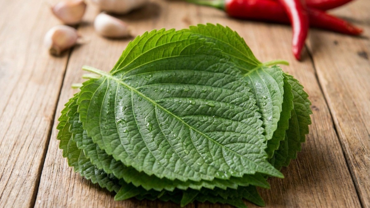 맛있는 깻잎 / 기사 내용을 바탕으로 제작한 AI 이미지