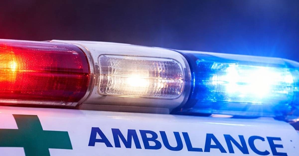 기사에 대한 이해를 돕기 위해 AI 툴로 제작한 자료 사진