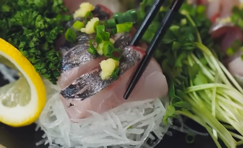 전갱이 회 / 유튜브, 입질의추억TVjiminTV