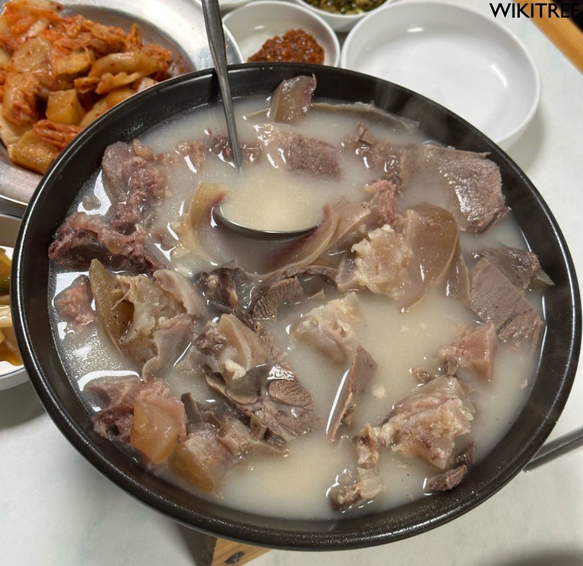 봉은사역 주변에 위치한 이남장 설렁탕의 도가니탕 / 위키트리