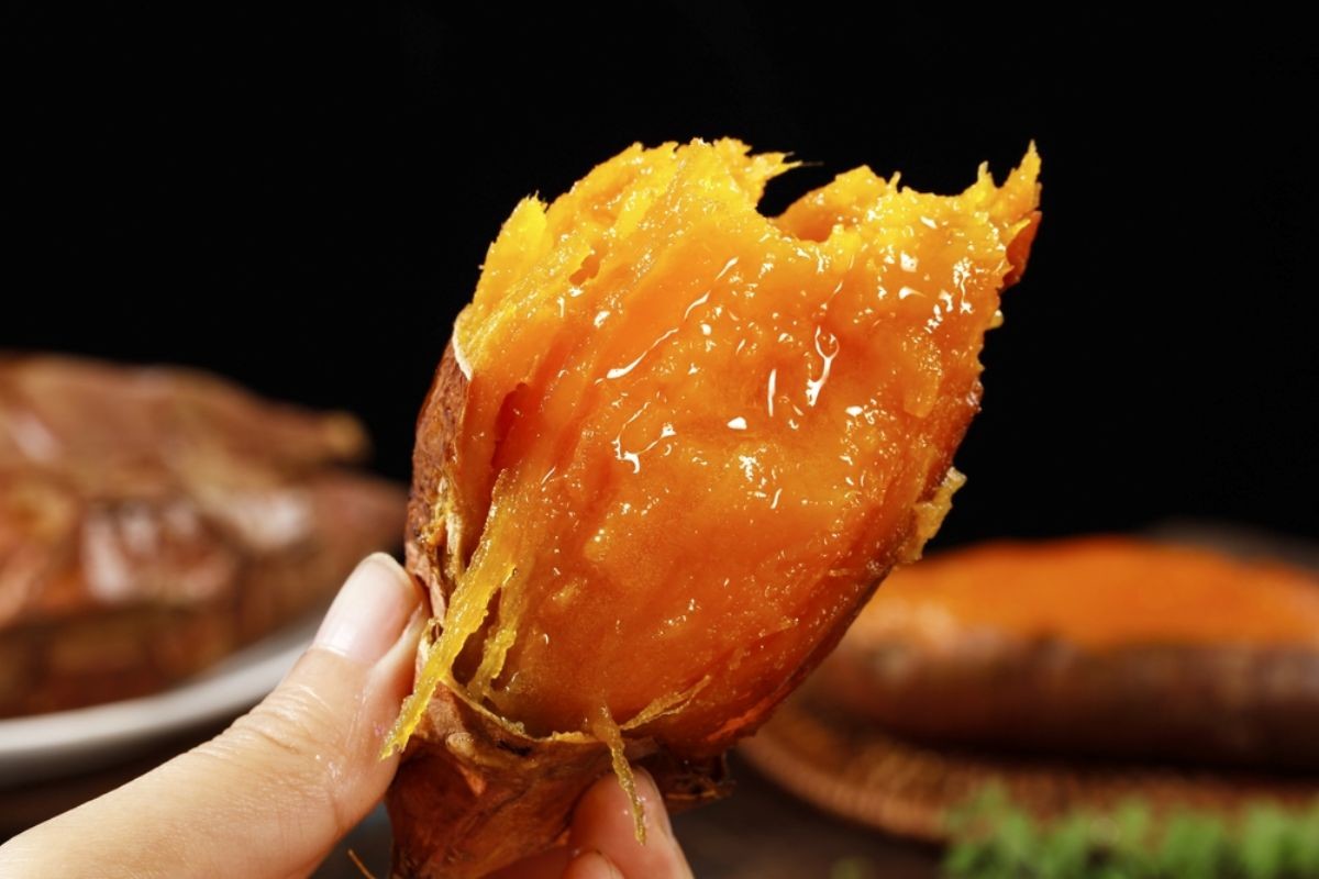 고구마  / NovaMaix07-shutterstock.com