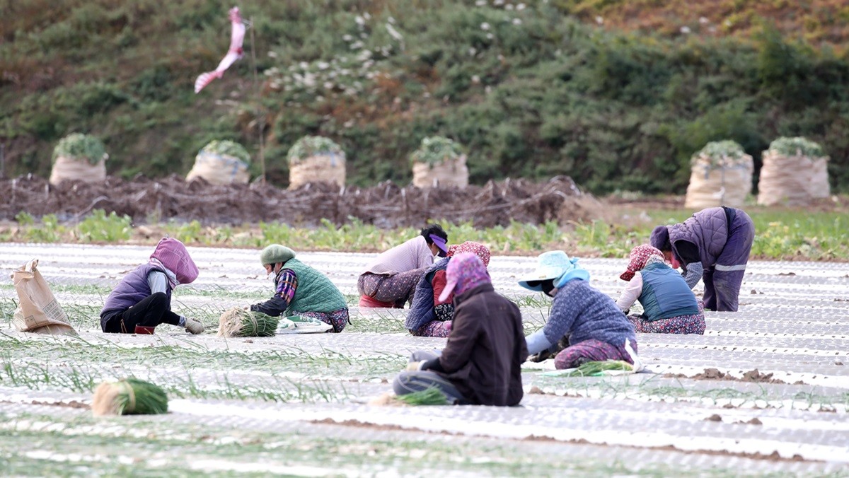농어촌 자료 사진 / 뉴스1