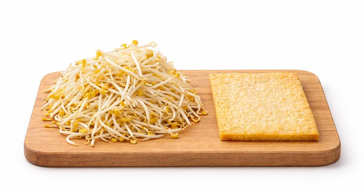 기사에 대한 이해를 돕기 위해 AI 툴로 제작한 자료 사진