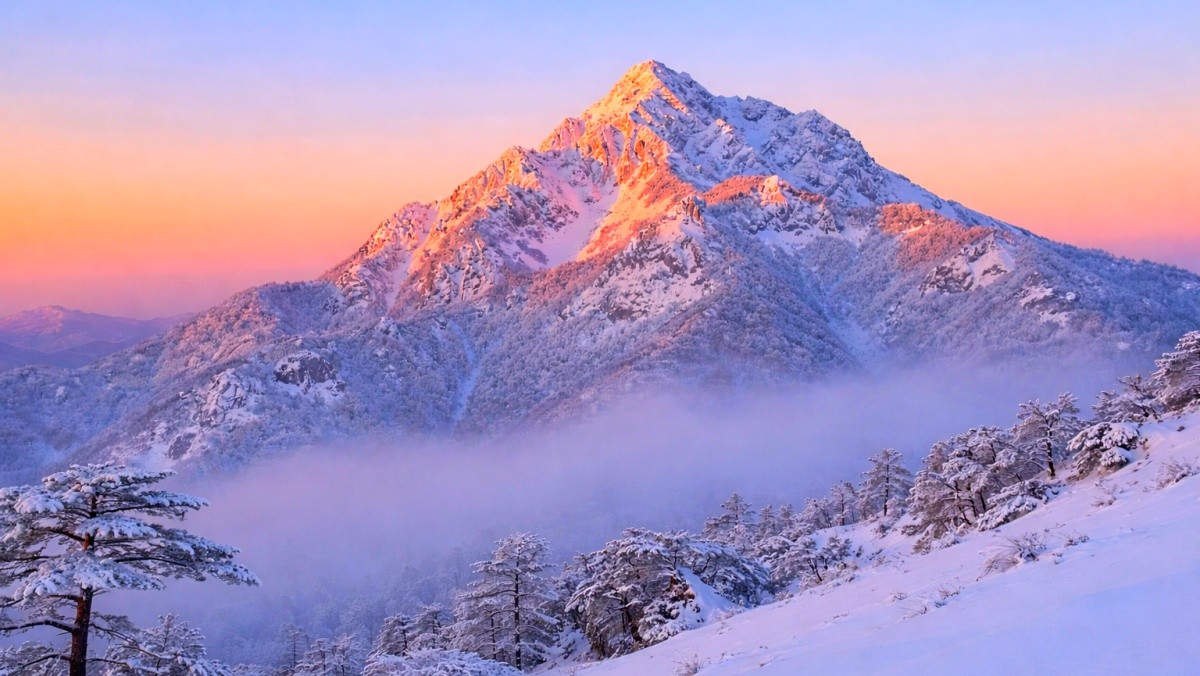 광교산. 기사 내용 토대로 AI툴 활용해 제작한 자료사진.