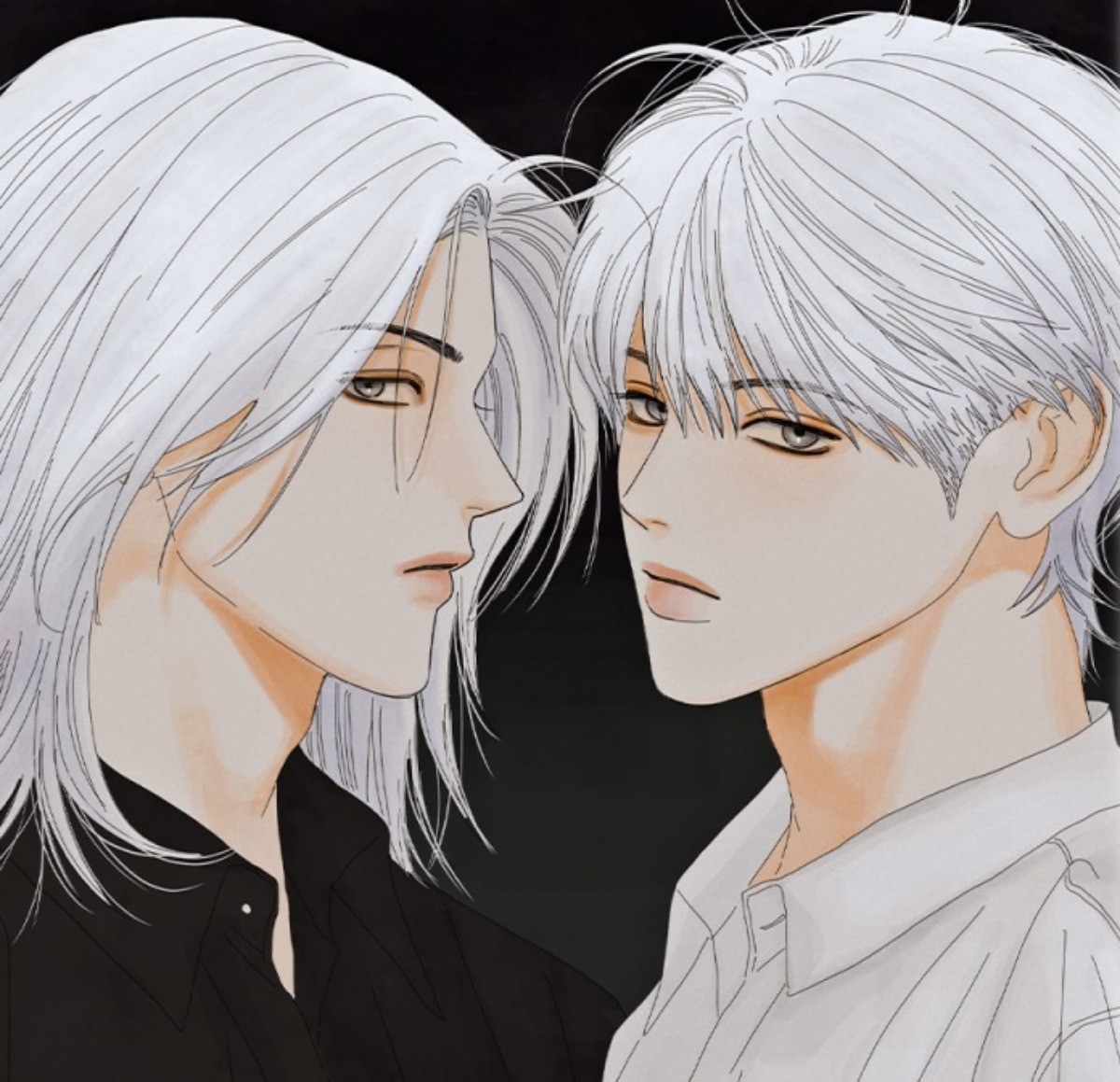 웹툰 '무색의 빛' / 맥퀸 스튜디오 인스타그램