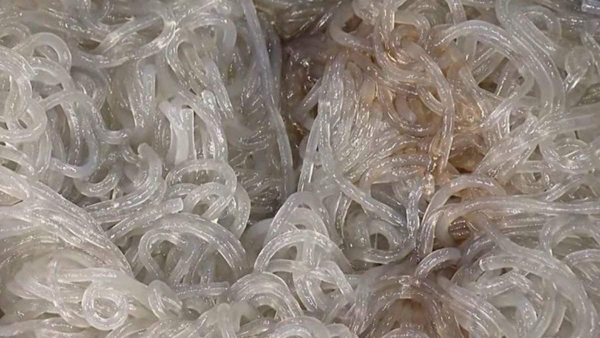 김영임이 공개한 특별한 '당면 요리'. / MBN '알토란'