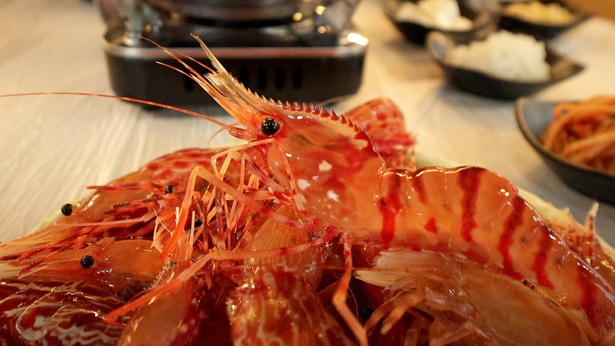 EBS1 '한국기행' 미리보기 페이지에서 제공하는 '독도 새우와 울릉 칡소' 편 자료 사진. / EBS1 제공