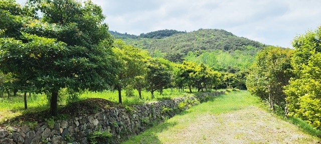 완도수목원- 등산로