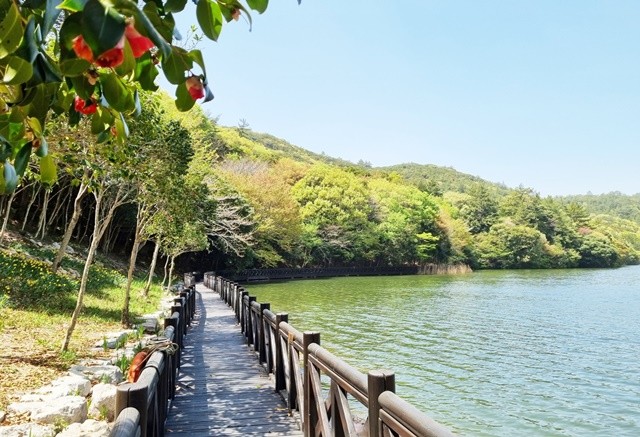 완도수목원- 탐방로