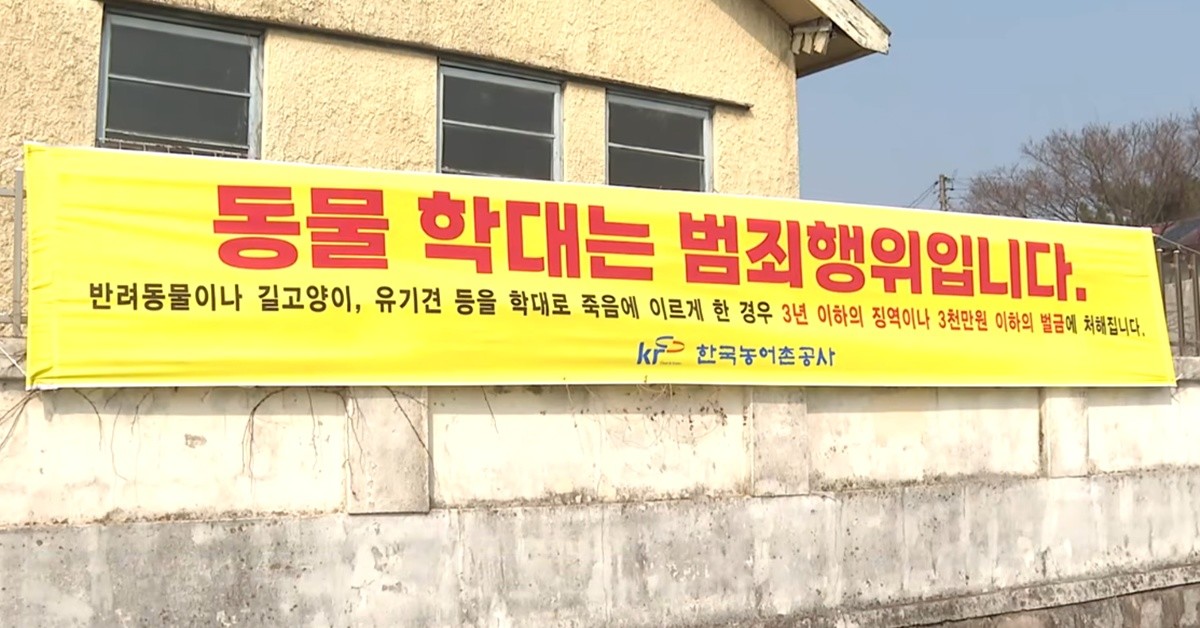 동물 도살 금지 현수막 / SBS