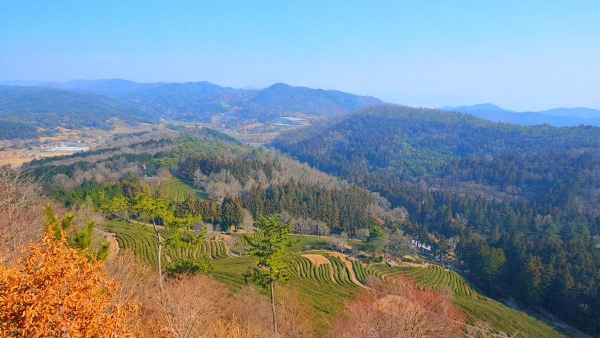 바다전망대. 기사 내용 토대로 AI툴 활용해 제작한 자료사진.