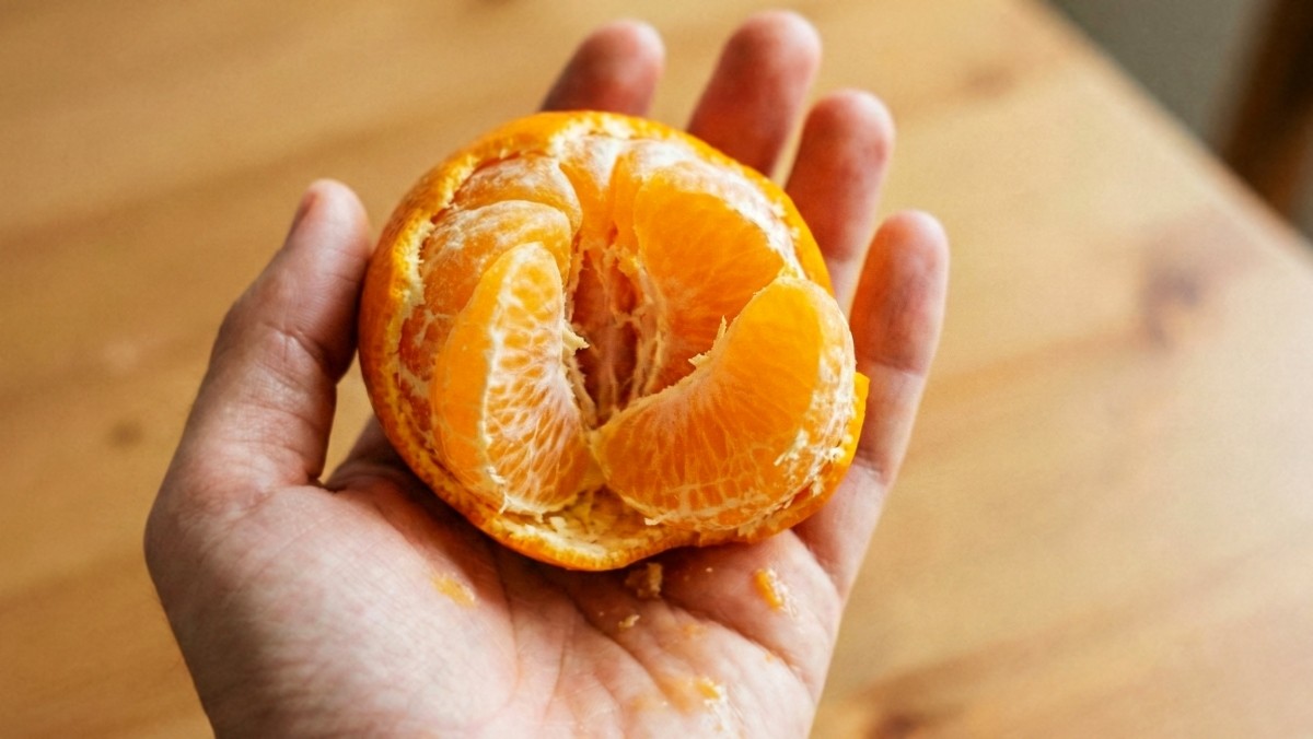 기사를 바탕으로 AI가 생성한 자료사진.