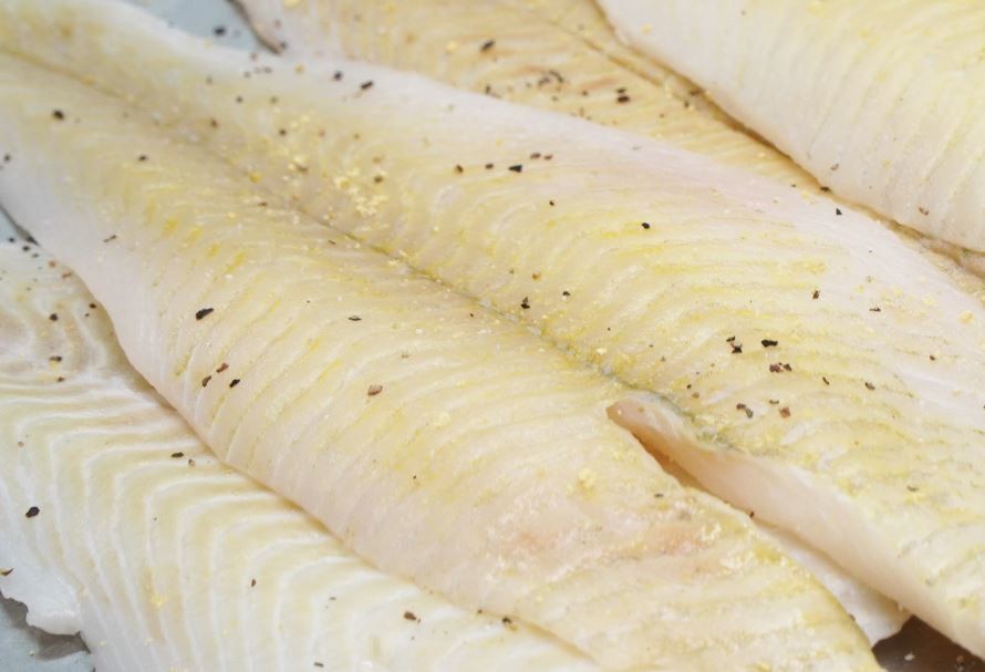 유튜브 '팔숙이 palsook'