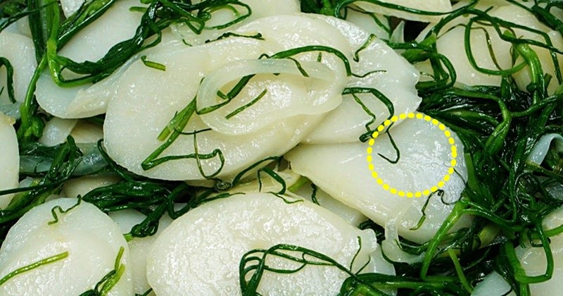 유튜브 '팔숙이 palsook'