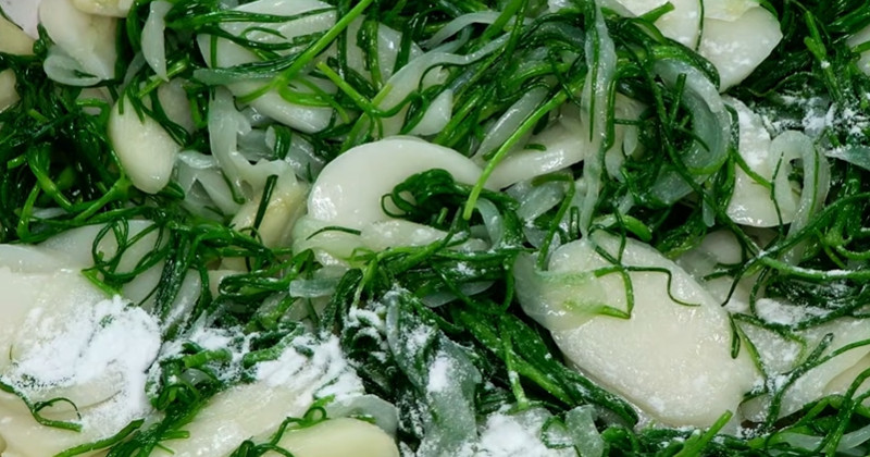 유튜브 '팔숙이 palsook'