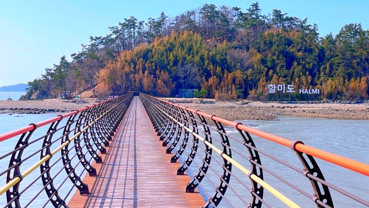 무한의 다리. / 신안군 공식 블로그