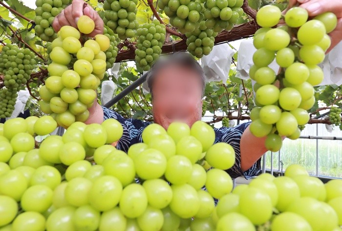 기사의 이해를 돕기 위한 사진 / 뉴스1