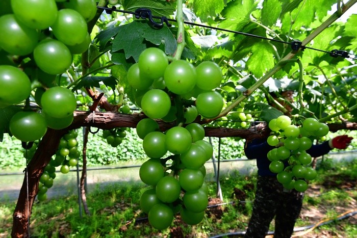 기사의 이해를 돕기 위한 사진 / 뉴스1