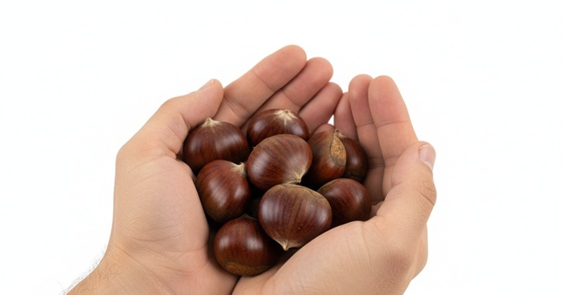 기사의 이해를 돕기 위한 AI 생성 이미지