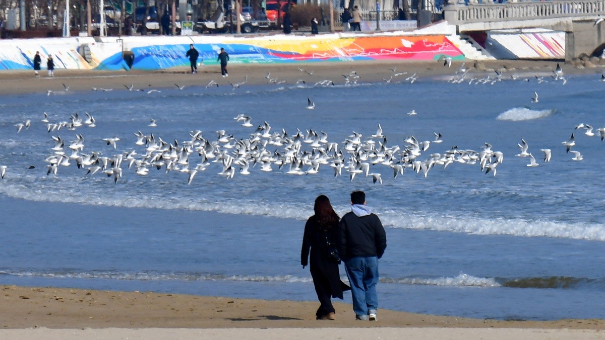 설 연휴 즐기는 시민들. 기사의 이해를 돕기 위한 사진. / 뉴스1