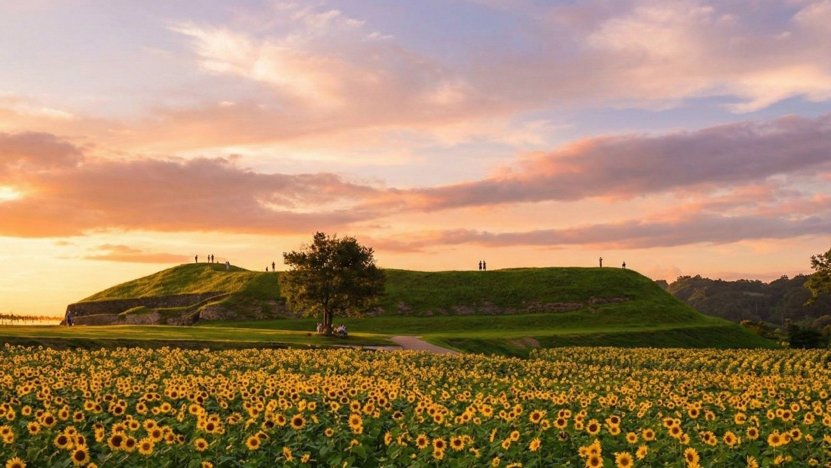 연천 호로고루. 기사 내용 토대로 AI툴 활용해 제작한 자료사진.