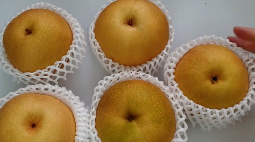 유튜브 '주부나라'