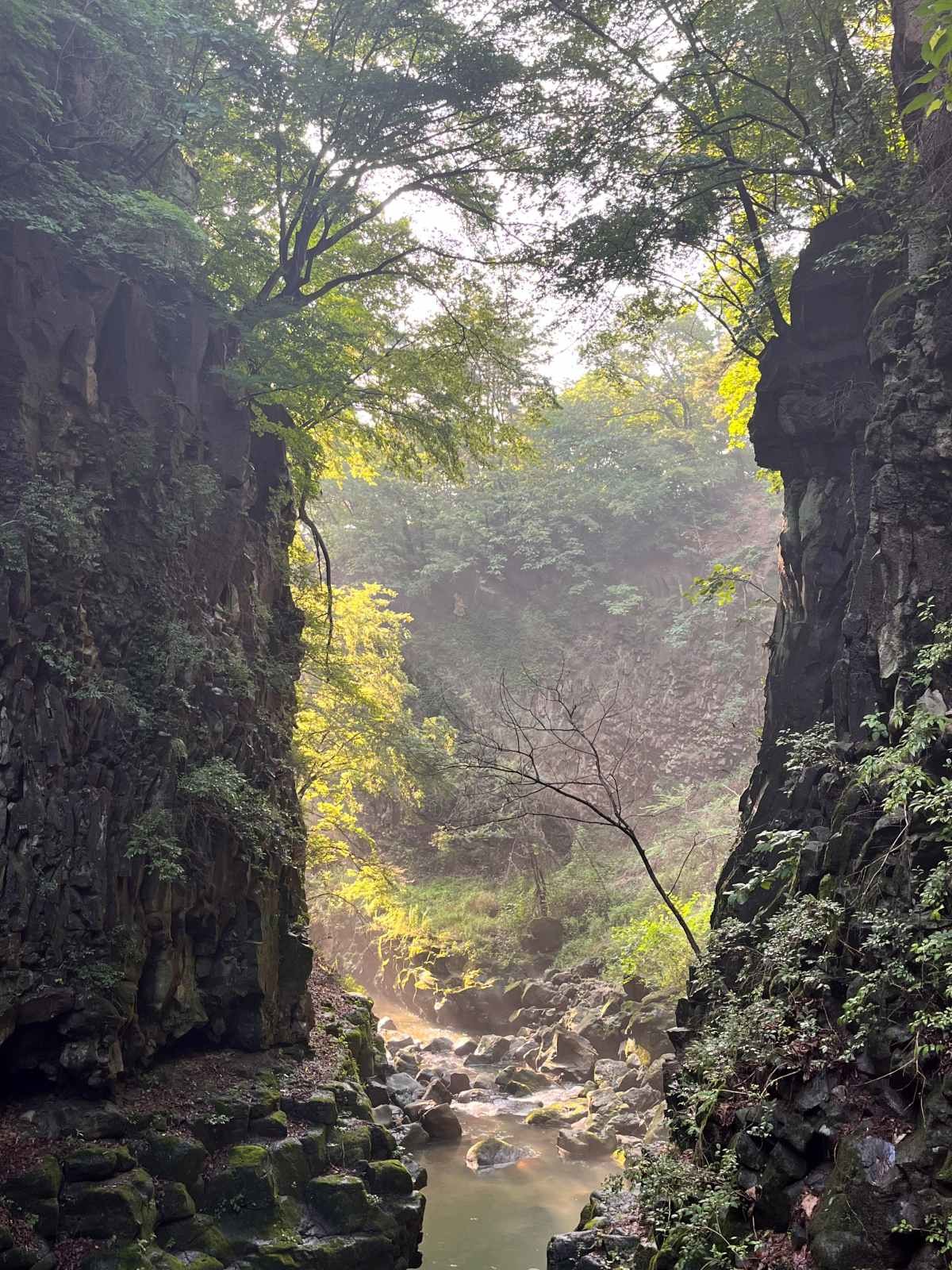 비둘기낭 폭포에서 바라본 협곡 / 위키트리 정혁진 기자