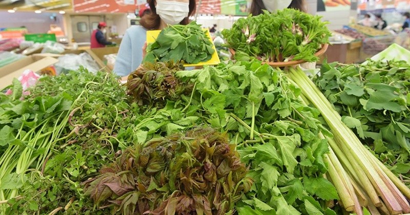 기사의 이해를 돕기 위한 사진 / 뉴스1