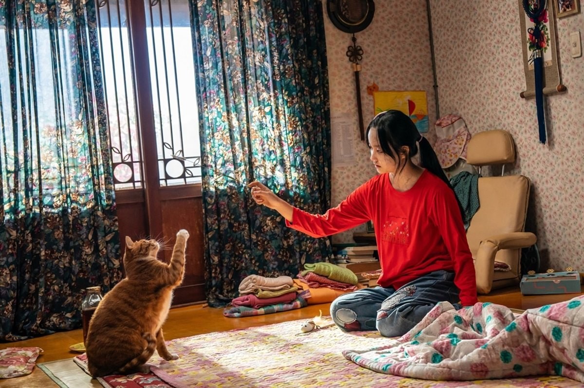 영화 '좀비딸'에 등장한 반려묘 애용이 / (주)NEW