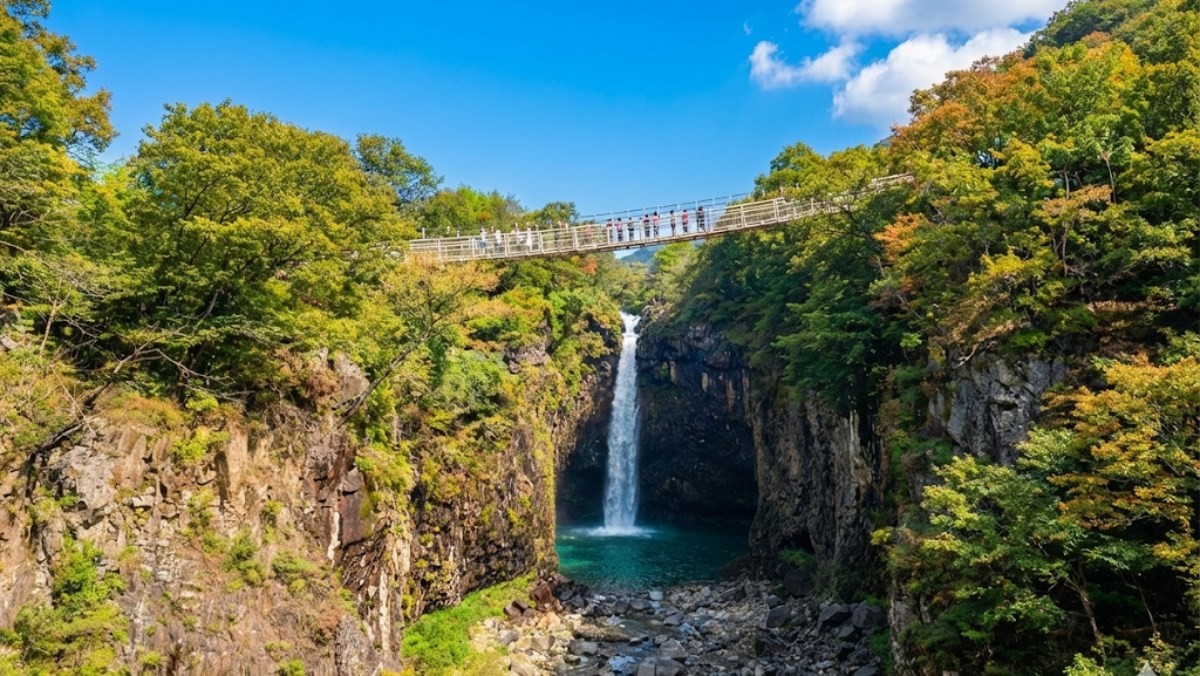 기사의 이해를 돕기 위한 AI 생성 이미지