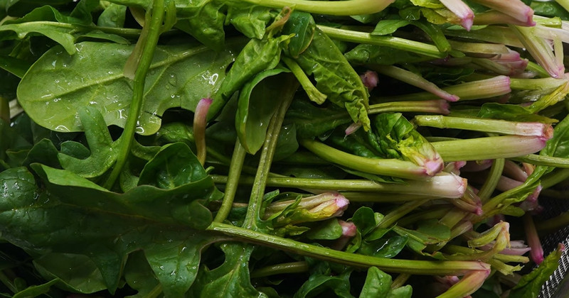 유튜브 '1분엄마 1 minute mom'