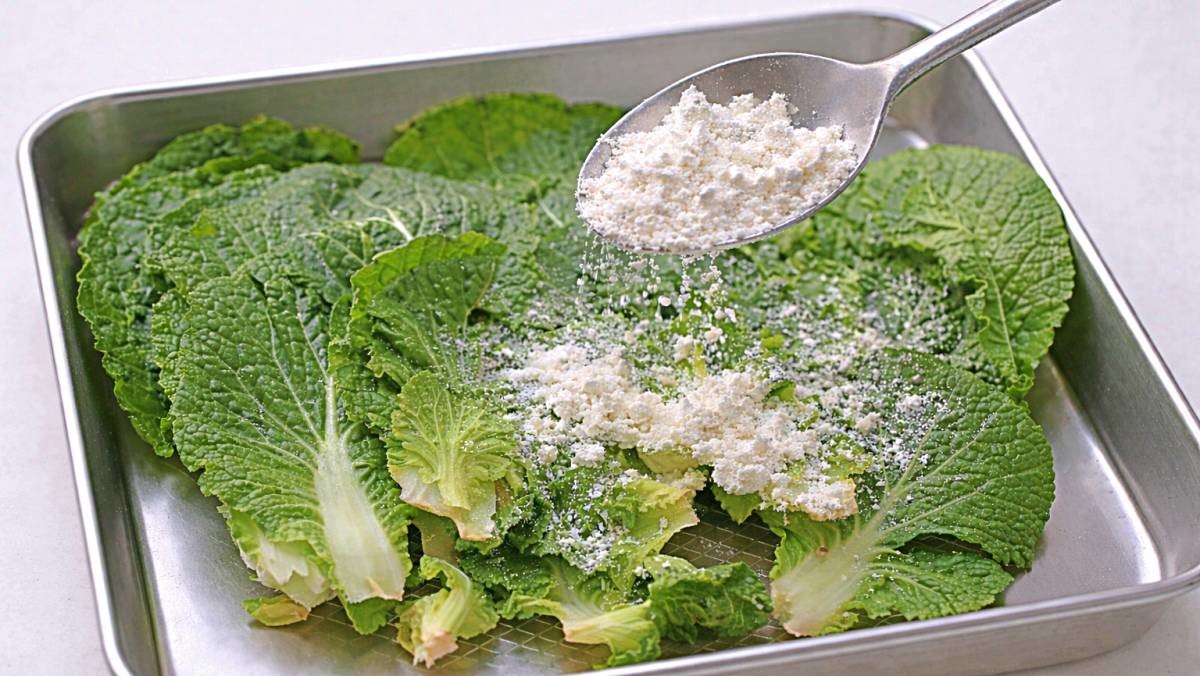 '봄동 무침 말고 새롭게 먹기, 도전?!' 기사 내용 토대로 AI툴 활용해 제작한 자료사진.