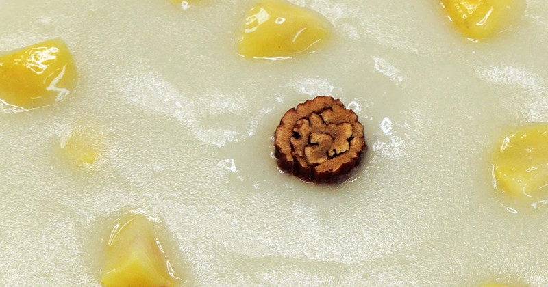 유튜브 '팔숙이 palsook'