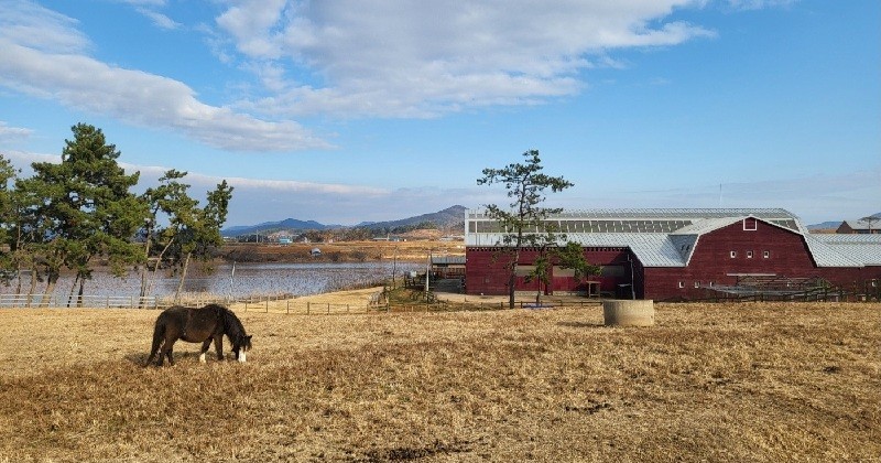 고창 상하농원 전경/사진=김지연 기자