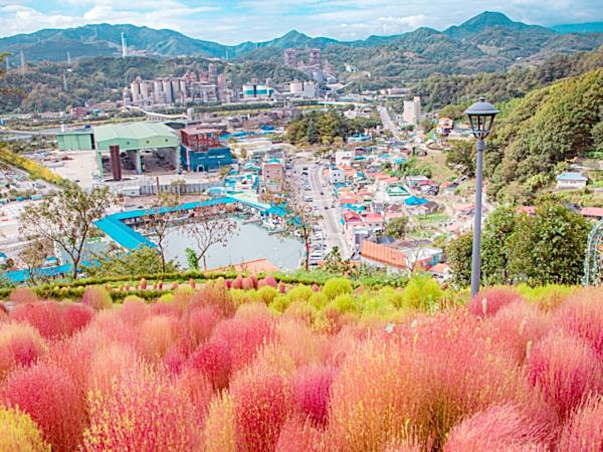 나릿골 감성마을 / 삼척 문화관광 홈페이지