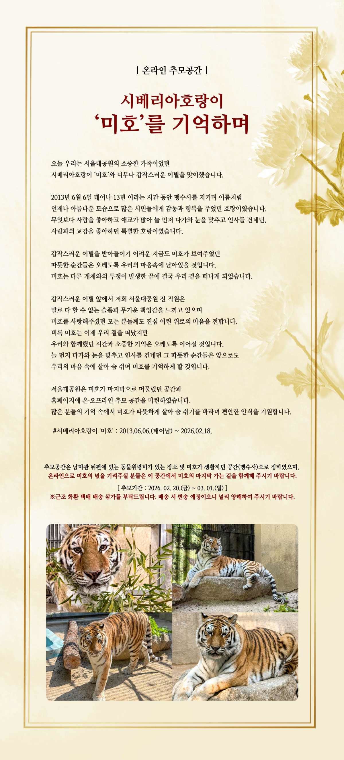 시베리아 호랑이 '미호' 온라인 추모글이자 입장문. / 서울대공원 제공