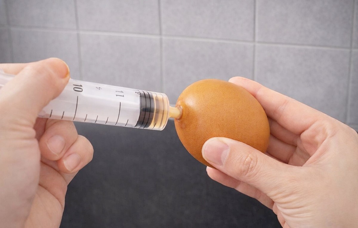 주사기를 계란에 꽂아 계란 속을 빼내는 모습. 기사 이해를 돕기 위해 AI를 활용해 제작한 자료 사진입니다. 실제 모습과 다소 차이가 있을 수 있습니다.