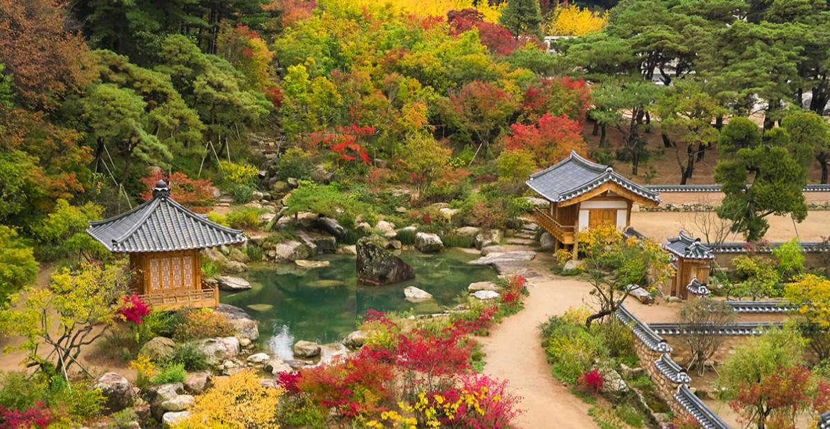 메덩골정원 / 메덩골정원 홈페이지