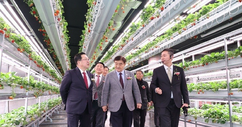 대전시는 전국 최초로 폐지하보도를 활용한 스마트팜을 조성하고, 도심 유휴공간을 첨단 미래농업 공간으로 전환하는 새로운 모델을 제시했다./사진=대전시