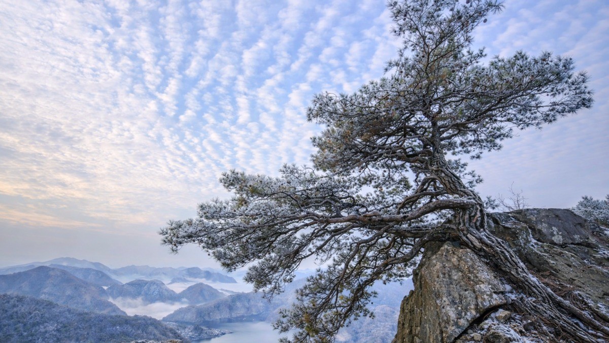 완주 운암산. 기사 내용 토대로 AI툴 활용해 제작한 자료사진.