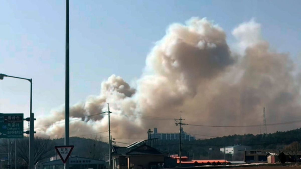 21일 충남 서산시 대죽읍 대죽리 인근에서 산불이 발생해 연기가 솟구치고 있다. / 연합뉴스