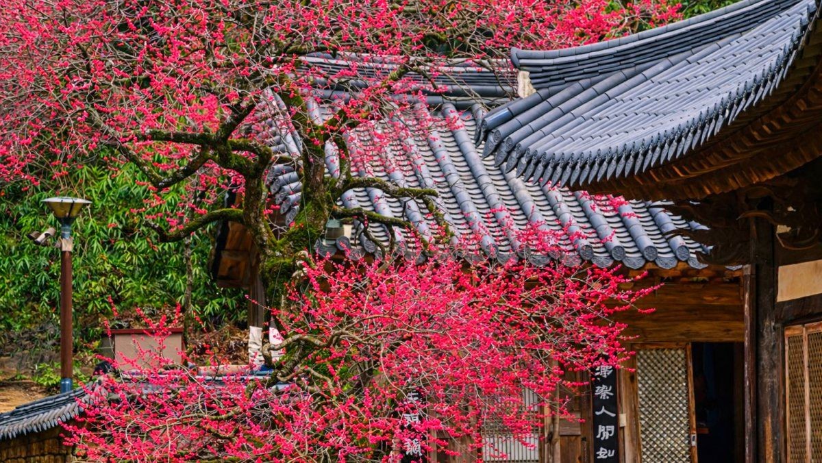 구례 화엄사. 기사 내용 토대로 AI툴 활용해 제작한 자료사진.