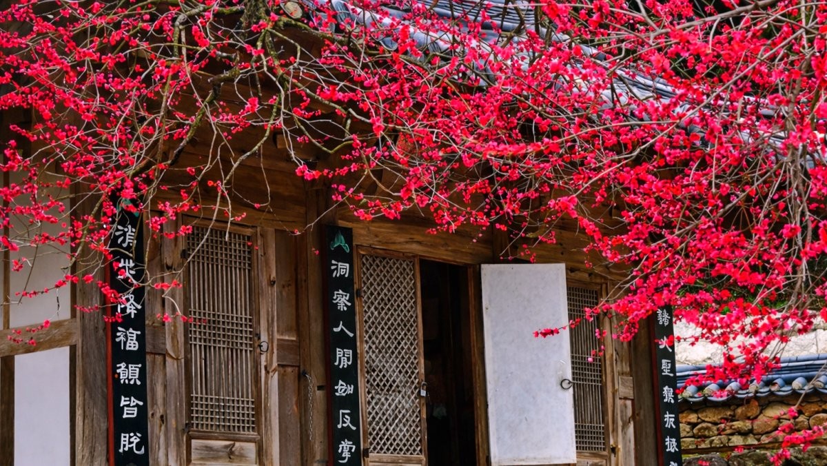 구례 화엄사. 기사 내용 토대로 AI툴 활용해 제작한 자료사진.